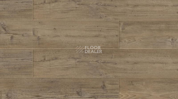Кварцвиниловые полы Gerflor Creation 70 0537 Aberdeen фото 1 | FLOORDEALER